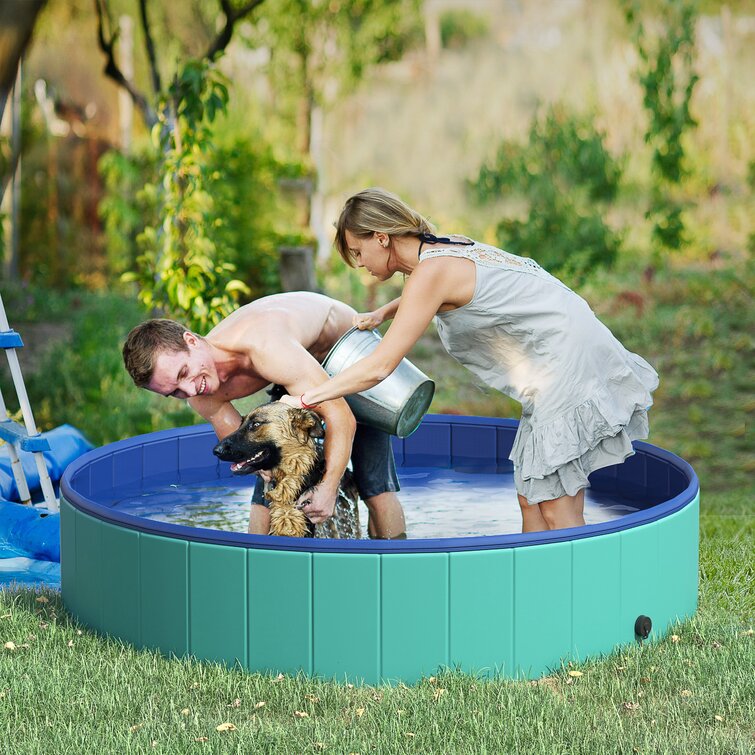 Pawhut Swimming Pool Bathing Tub & Reviews - Wayfair Canada